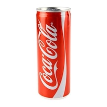 Coca Cola 200 Ml Kutu 24 Adet