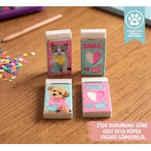 Bakgelal Studio Pets Lisanslı Silgi Kedi Köpek Desenli Çocuk Okul Kırtasiye Silgisi - 9020877857706