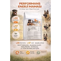 Teolix Kuzu Etli Köpek Maması 15 Kg %31 Protein %17 Yağ İri Irklar İçin Enerji Maması Teolix Kuzu Etli Köpek Maması 15 Kg %31 Protein %17 Yağ İri Irklar İçin Enerji Maması