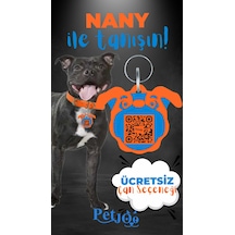 Petjoo 17.Nany Mavi-Turuncu Qr'lı Köpek Künyesi