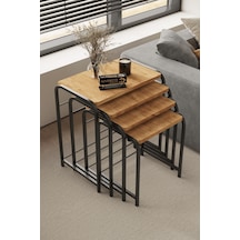 Siyah - Atlantik Çam