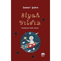 Siyah Yıldız - Demet Şahin - Şule Yayınları