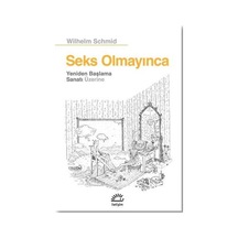Seks Olmayınca - Yeniden Başlama Sanatı Üzerine - Wilhelm Schmid - İletişim Yayınları