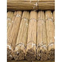 50 Adet Bambu Bitki Fidan Destek Çubuğu 190 - 200 Cm