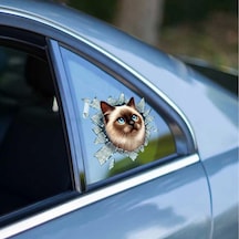 Fulcar Siamesse Araç Stickerı Çok Renkli