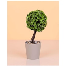 Doğal Taşlı Mini Top Ağaç Yapay Çiçek