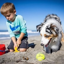 Hyper Pet Tenis Köpek Oyun Topu Yeşil 4'lü Paket Orta Boy