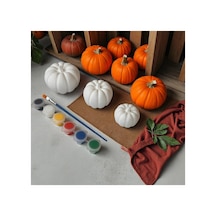 Pumpkin Kabak 3 Boy Büyük Orta Ve Küçük Boy Boyama Seti Taş Tozu Halloween