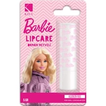 BARBİE LİPCARE ORMAN MEYVELİ DUDAK KORUYUCU 5 GR