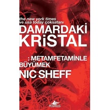 Damardaki Kristal: Metamfetaminle Büyümek - Nic Sheff - Pegasus