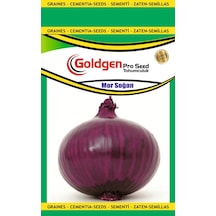 Goldgen Mor Soğan Tohumu 1 Paket