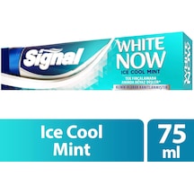 Signal White Now Ice Cool Mint Diş Macunu 75 ML