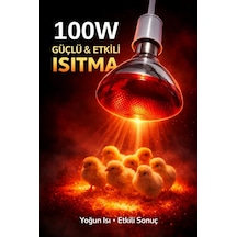 100w Isıtıcı Ampul Kırmızı Isı Lambası Civciv Kümes Kuluçka E27 Duy Isıtma Ampulü