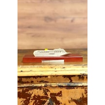 Costa Neoromantica Metal Gemi Modeli