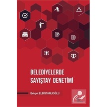 Belediyelerde Sayıştay Denetimi - Behçet Elbistanlıoğlu - Kriter