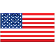 Saray Amerika Bayrağı 30X45
