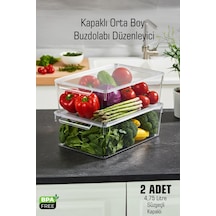 Frostybox Kapaklı Süzgeçli Orta Boy Buzdolabı Düzenleyici Ve Dolap İçi Organizer 2 Adet Diğer