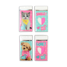 4 Adet Studio Pets Silgi Pt-131