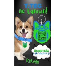 Petjoo 15.T.Teg Yeşil-Mavi Qr'lı Köpek Künyesi