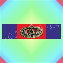 Jandarma Joak Şerit Rozeti Şekil 16