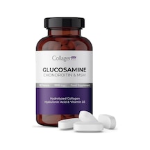 Collagen Forte Platinum Glucosamine Chondroitin Msm Collagen Tip 1-2-3 90 Tablet