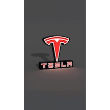 Tesla Dekoratif Aydınlatma Led Gece Lambası Çok Renkli