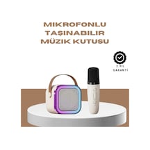 Taşınabilir Bluetooth Karaoke Seti Mikrofon Ve Hoparlör 10-20 W, 10 M Bağlantı