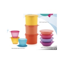 Tupperware Renkli Saklama Kabı 10 Lu Set Esc Çok Renkli
