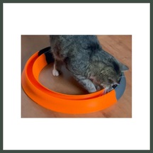 Bezos 3d Baskı Kediler İçin Halka Şeklinde Toplu Parkur Oyuncağı Yuvarlak Toplu Kedi Oyuncağı Turuncu Nhr