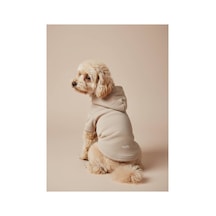 Kapüşonlu Kedi Köpek Kıyafeti Sweatshirt Hoodie Evcil Hayvan Giysisi
