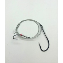 Fish Master Kofana Çift Iğne Model : 3