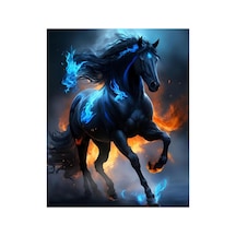 Baskılı Sayılarla Boyama Hobi Seti Çerçeveli 60x75 Cm: Siyah İnci - 791497252