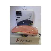 Şarjlı Kablosuz Mouse Sessiz 2.4 Ghz Usb Wireless 800-1200-1600 Ayarlanabilir Dpi Led Işıklı Slient Diğer