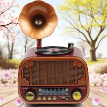 Dexxony Dcx-13 Kahverengi Nostaljik Radyo & Zarif Nostaljik Ahşap Görünümlü Radyo Bluetooth Hoparlör