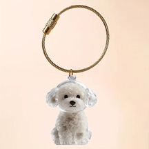 Lumaworld Teddy Şekilli Şeffaf Köpek Kürkü Anı Kapsülü Saklama Kutusu Anahtarlık
