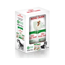 Mini Adult Köpek Maması 2 Kg + 2 Adet Yaş Mama Hediye