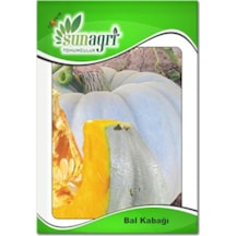 Bal Kabağı Tohumu