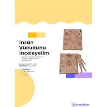Türk Malı İnsan Vücudunu Tanıyalım Stem Eğitim Seti Çocuklar İçin Boyanabilir Maket