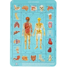 Vücudumuz Puzzle 35 Parça Eğitici Yapboz