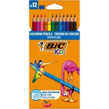 Bic Tropicolors Uzun Kuru Boya 12'li