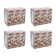 Yörükoğlu Kakaolu Süt 180 Ml X 24 Adet