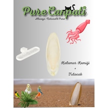 Purecanpati Mürekkep Balığı Kemiği Kalamar Küçük Boy 1 Adet