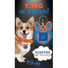 Turuncu