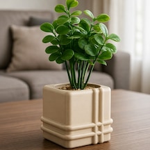 Bezos 3d Baskı Square Planter - Izgara Desenli Küp Saksı-bej Mbt06 Standart