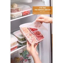 4 Bölmeli Buzdolabı Organizeri 1 Lt, Friz Düzenleyici, 4'lü Set Desenli