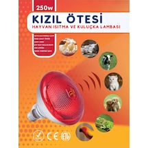 Çok Renkli