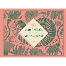 Yeryüzünün Kayıp Manzaraları - Aina Bestard - Meav Yayıncılık