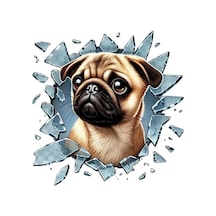 Vexor Fulcar French Bulldog Araç Stickerı