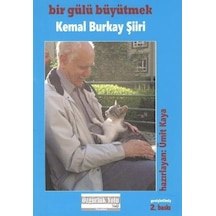 Bir Gülü Büyütmek kemal Burkay Şiiri