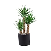 Siyah Saksıda Üç Dal Yapay Kaktüs Aloevera
